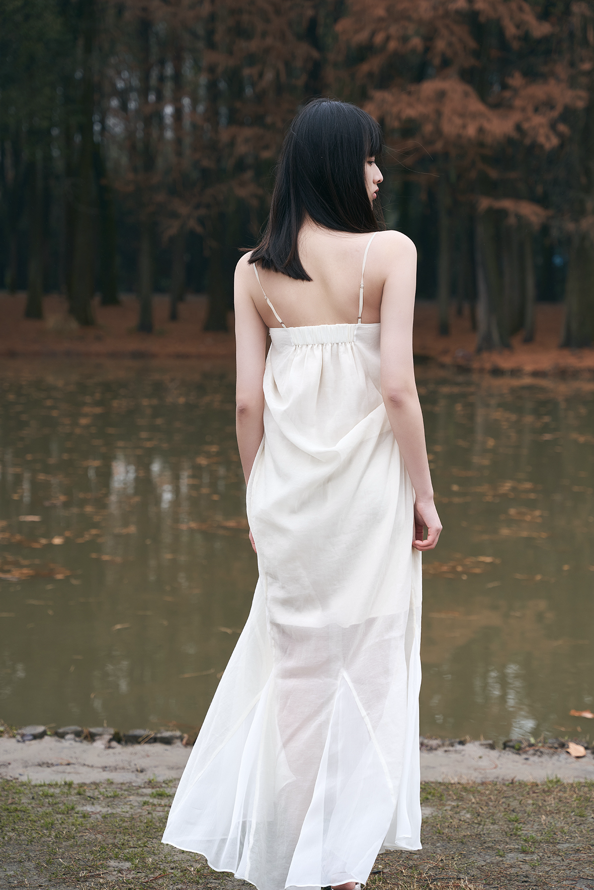 Mist Butterfly Dress