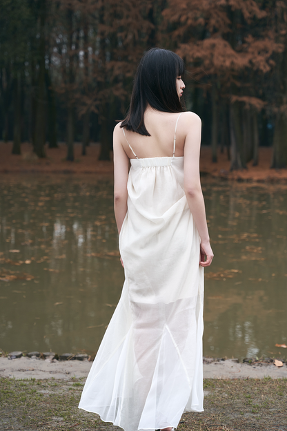 Mist Butterfly Dress
